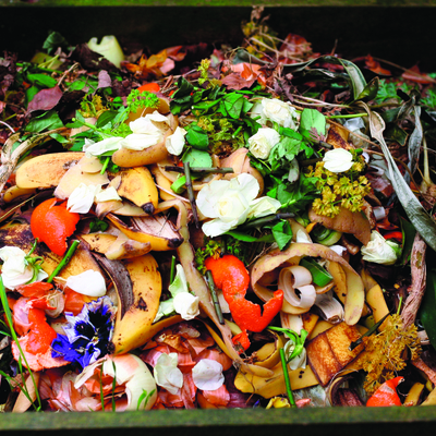 Swill, keukenafval en etensresten